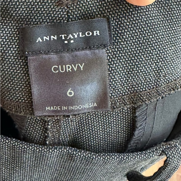 Ann Taylor Womens Curvy Straight Trouser Work Pant Size: 6 - Picture 4 of 10